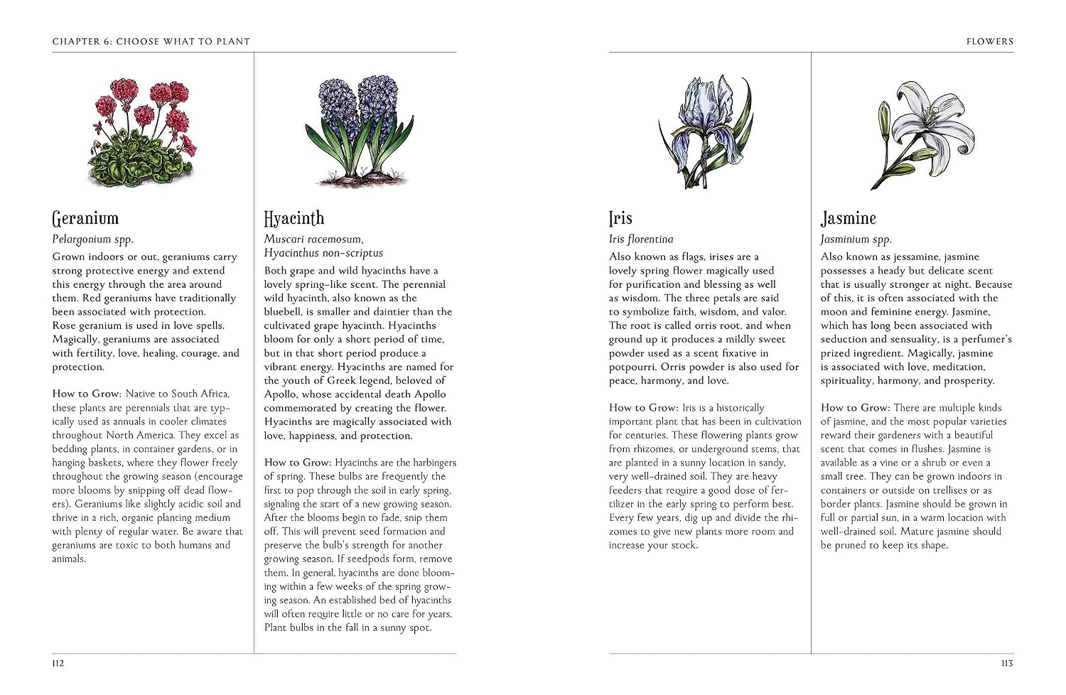 Book page with illustrations of flowers and plant names