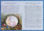 An open book or planner spread showing two pages with decorative blue borders, the left page titled 'Acknowledgements' and the right page titled 'How to Use This Planner,' with small floral illustrations along the bottom.