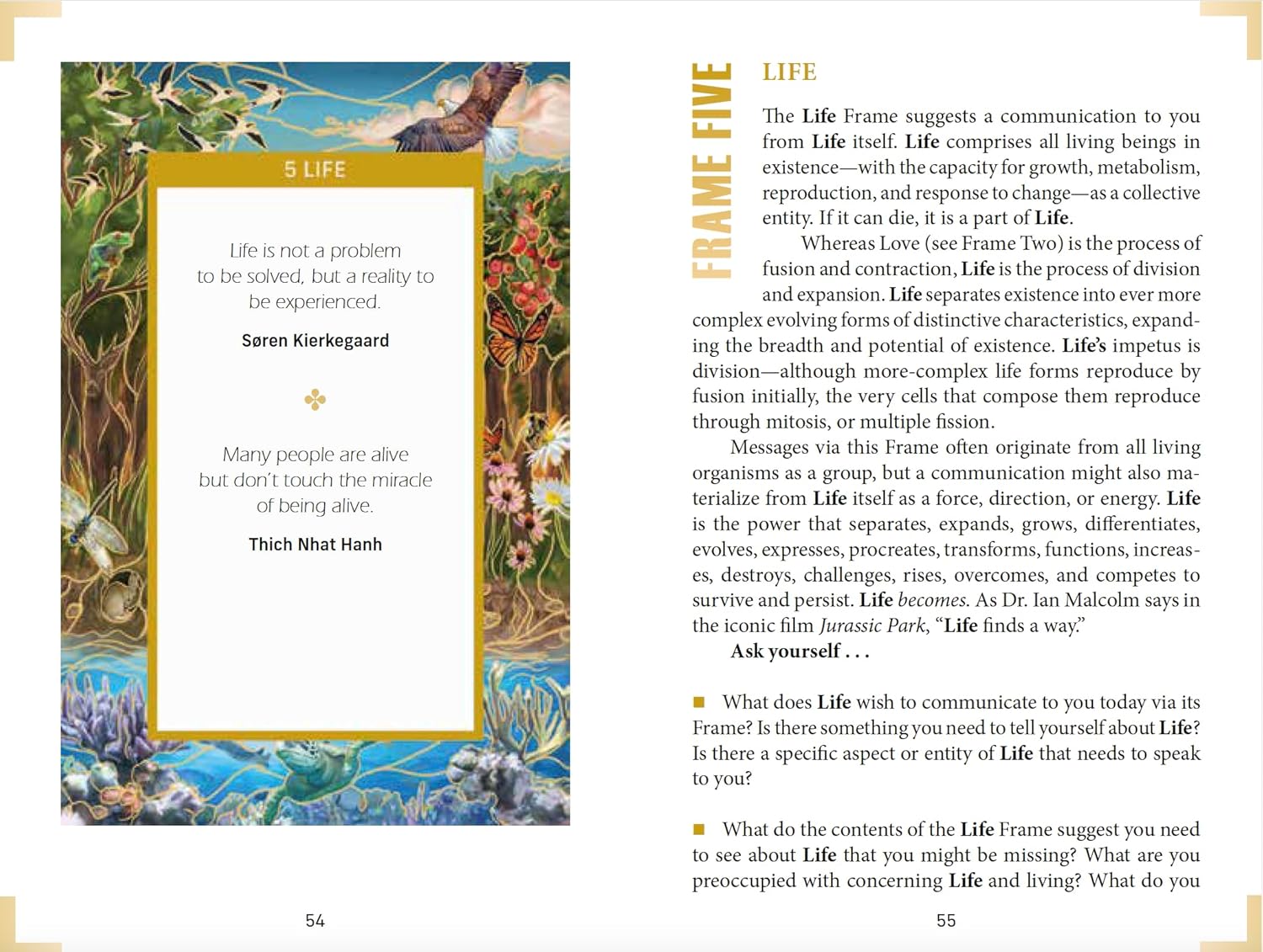 Open book with a Life Frame page featuring text and illustrations on a white background