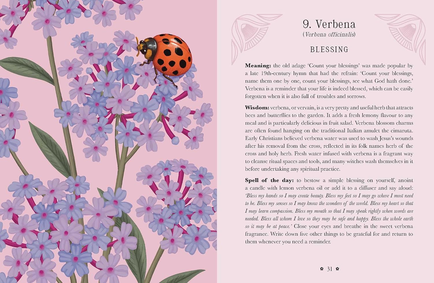 A decorative printed card or page featuring a pink background with the heading '9. Verbena' and a blessing titled 'Blessing.