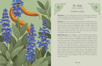 A decorative printed page featuring a large central orange bird illustration with blue flowers on the left and a green background with the title '32. Sage' and text about purification.