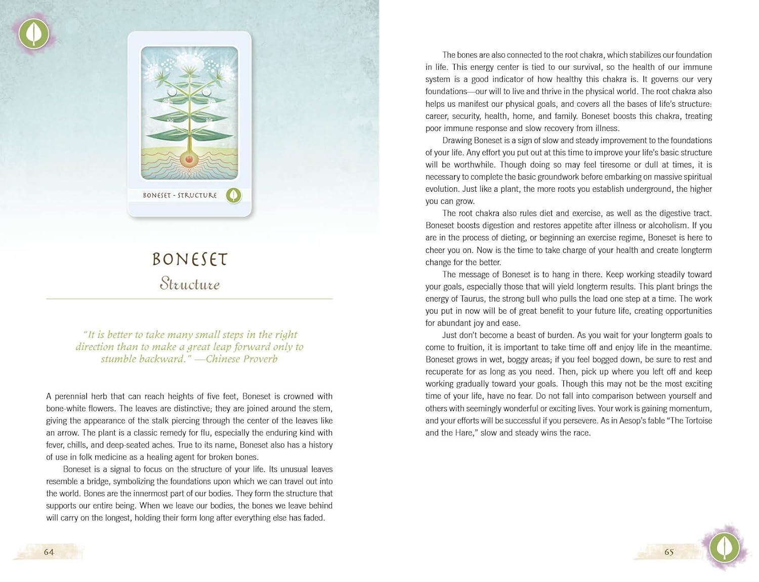 Card with a tree illustration and text on a light blue background