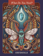 Decorative book cover with intricate design of a dragonfly and snakes, featuring the text 'What Do You Need? Chrysocolla'.