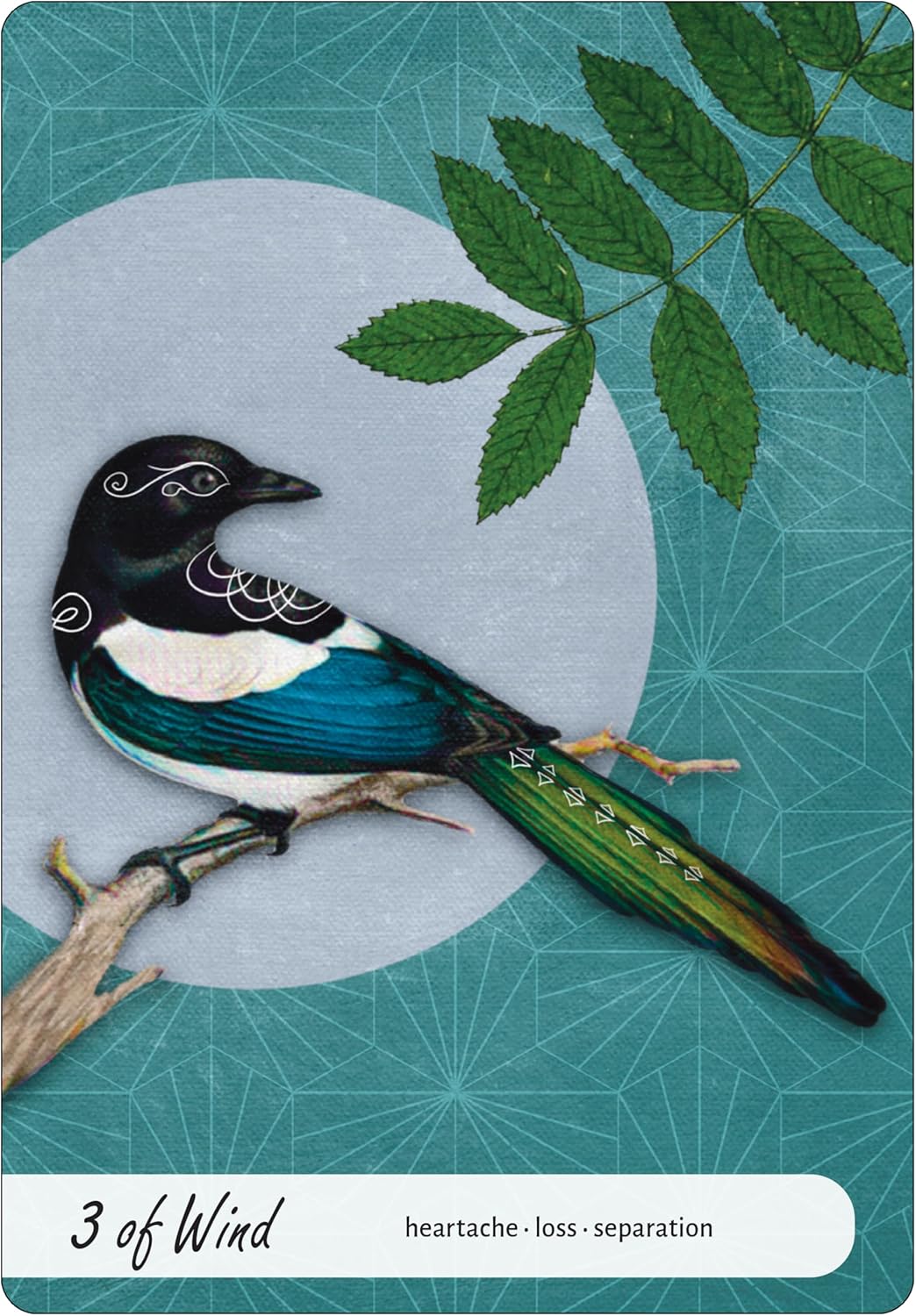 Card with a stylized bird illustration on a teal background