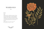Illustration of a marigold flower with text on a black background