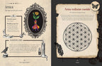 A two-page spread of a vintage-style printed card or booklet titled 'Arnica,' showing illustrated and text-based information about the plant. The left page has a cream parchment background with black ornamental border elements, a central oval illustration of a flower in a vase, and sections on scientific name, healing properties, and magical uses.