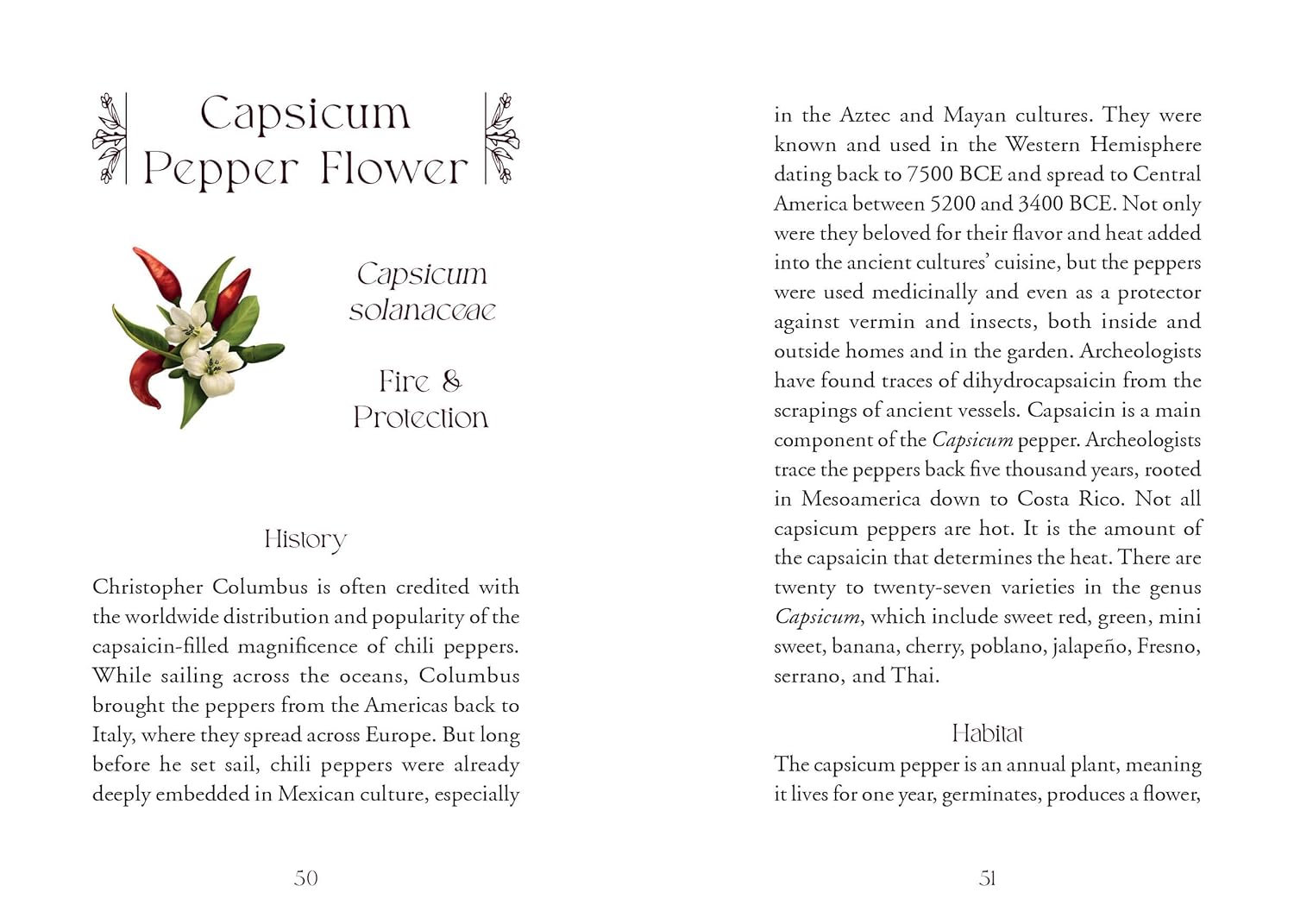 Book page with information about Capsicum pepper flower and its history.