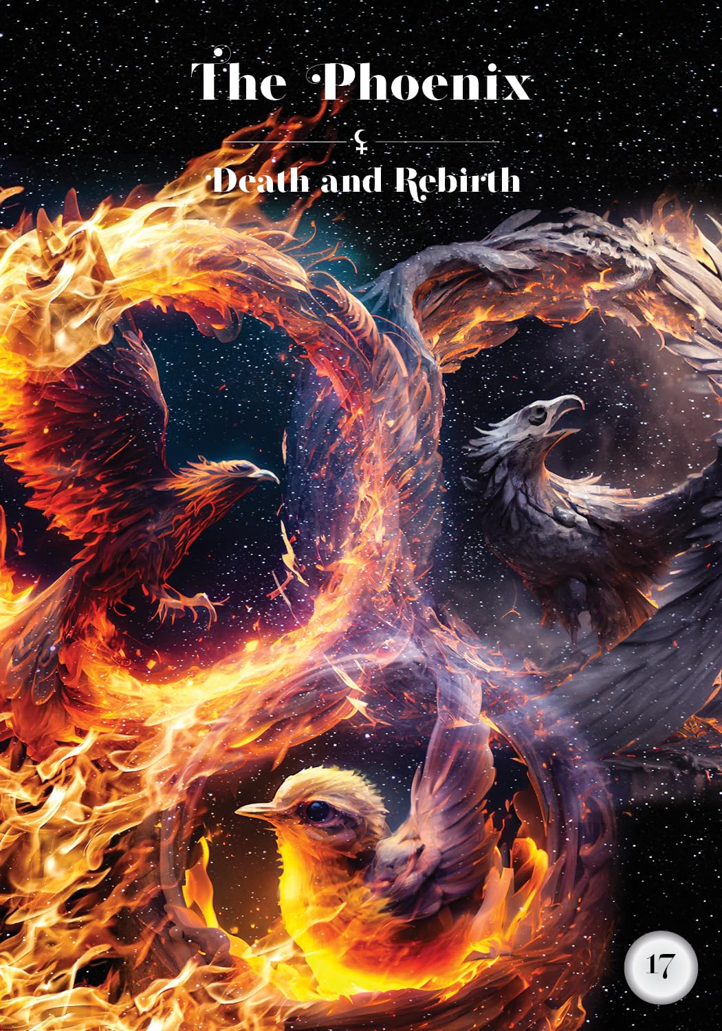 Illustration of a phoenix with flames and text 'The Phoenix & Death and Rebirth' on a dark background.
