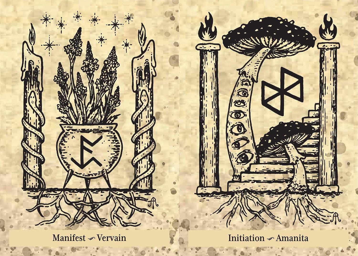 Illustrations of candles, herbs, and a mushroom with symbols on a textured background.