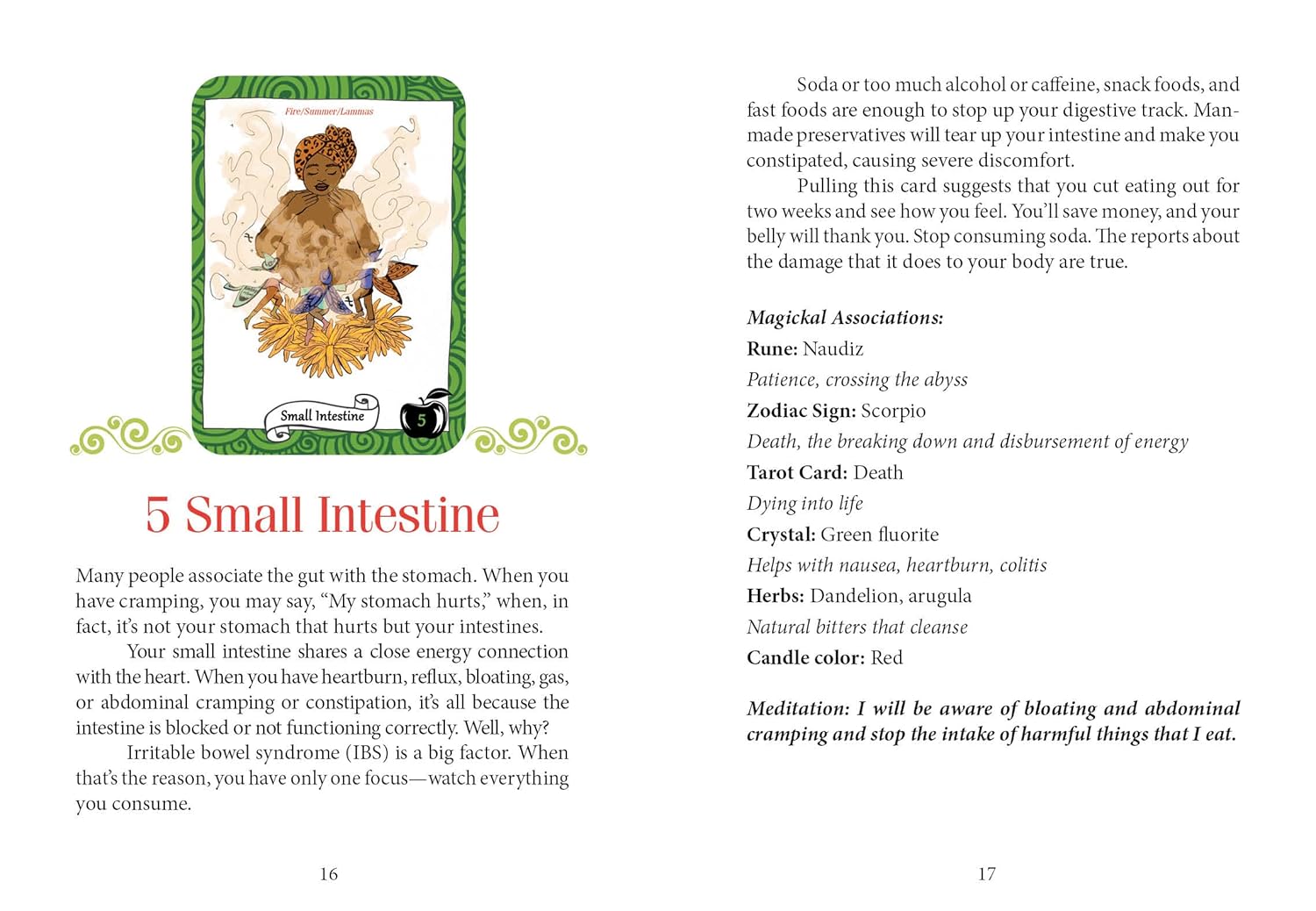 Page from a book or magazine with an illustration of a lion and text about the small intestine.
