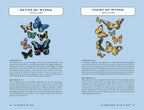 Two pages from a book or magazine featuring illustrations of butterflies with text above each illustration.
