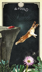 Card titled 'The Fool' with a person leaping off a cliff, against a dark background with a flower and plant at the bottom.