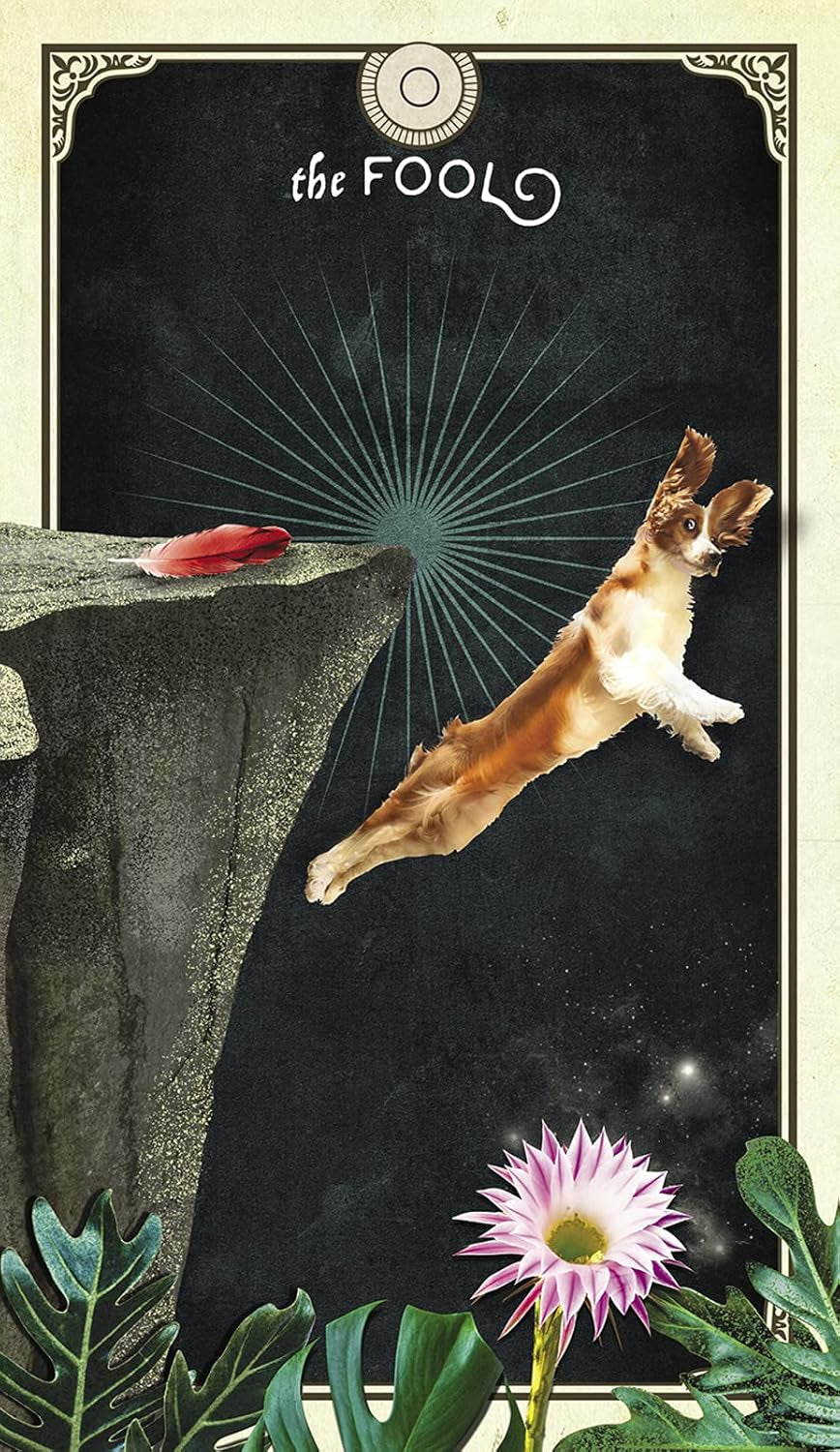 Card titled 'The Fool' with a person leaping off a cliff, against a dark background with a flower and plant at the bottom.