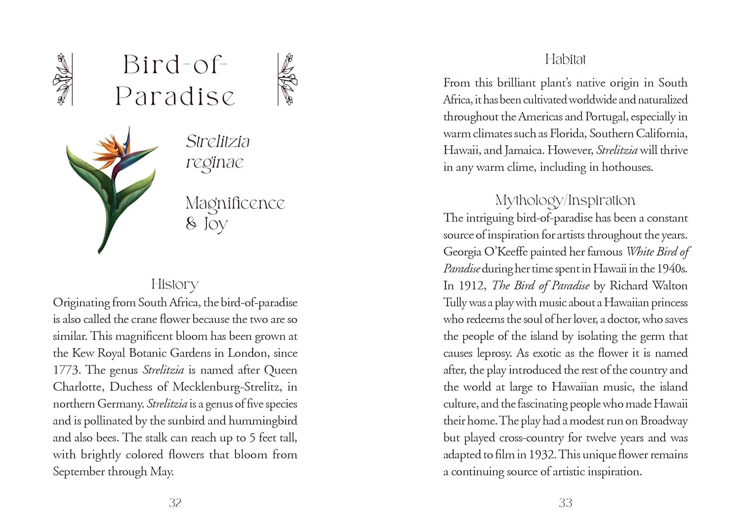 Book page with information about the Bird of Paradise plant, including text and a small illustration.