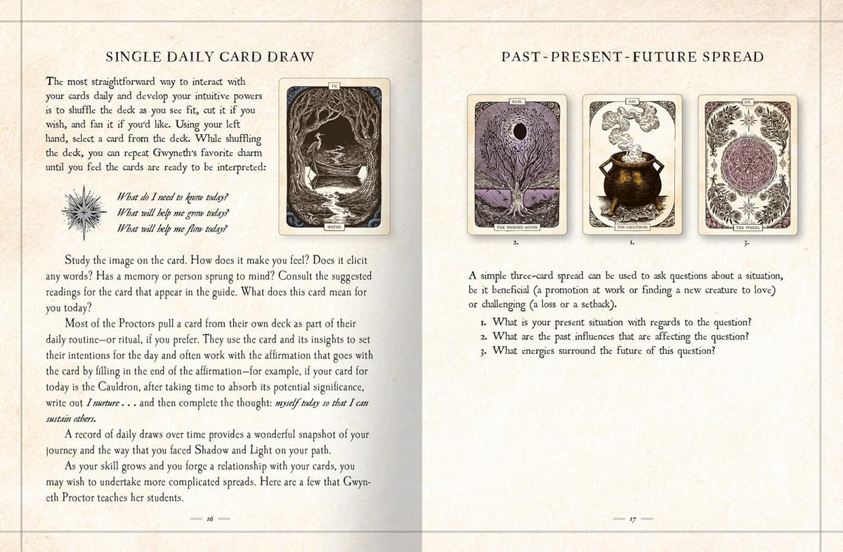 An open book or booklet showing two printed spread sheets with text and small vintage-style illustrations. The left page is headed 'SINGLE DAILY CARD DRAW' and contains instructional text plus a small central illustration.