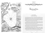 Page from a book with intricate illustrations and text on 'Reconnection'.
