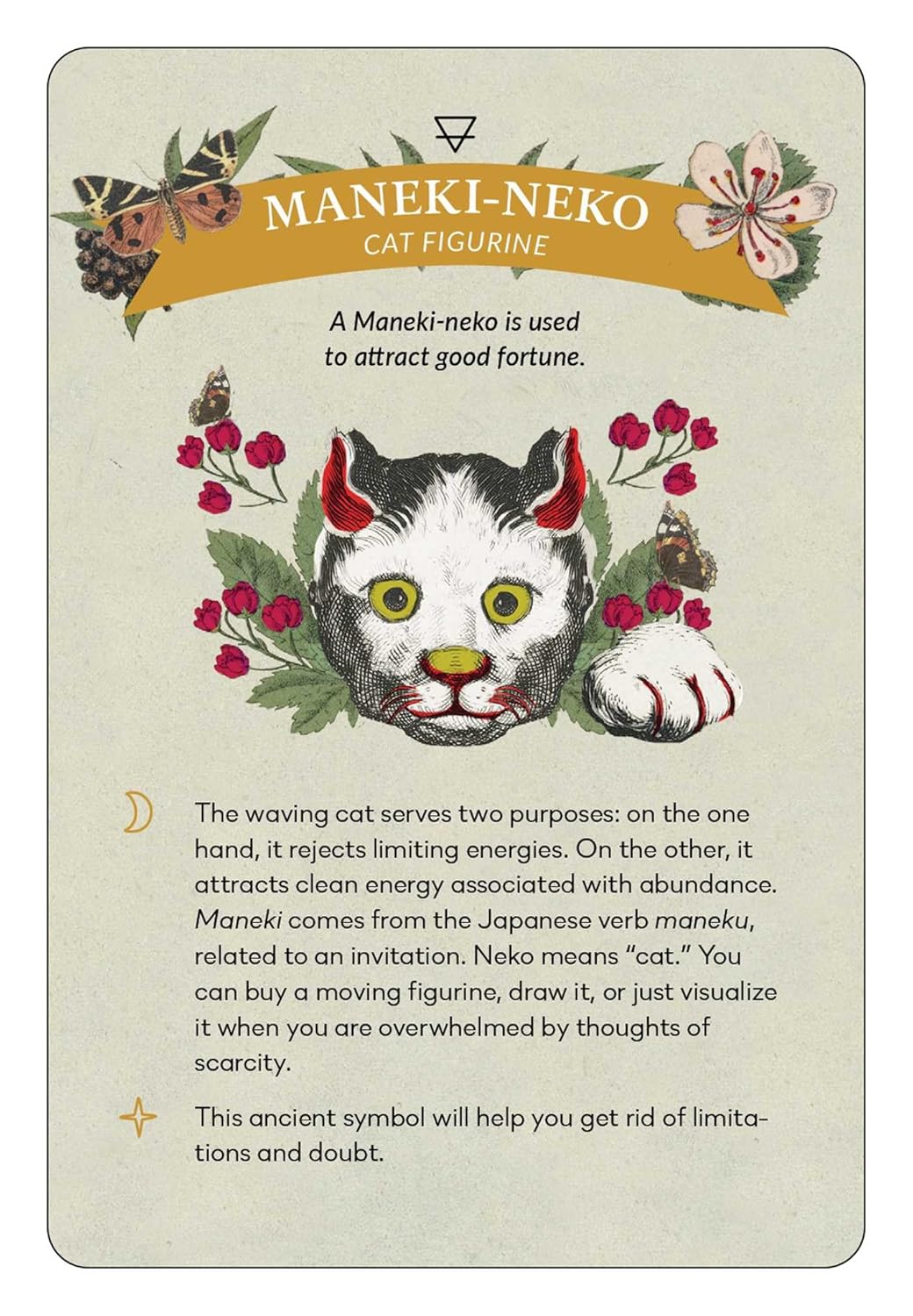 Maneki-neko cat figurine with decorative card featuring text and illustrations.