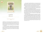 Card featuring a tree with a nest and text on a green background