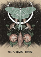 Illustration of a butterfly and flowers with 'Allow Divine Timing' text on a dark background