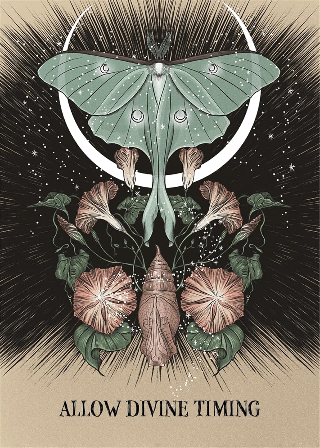 Illustration of a butterfly and flowers with 'Allow Divine Timing' text on a dark background