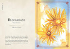 Illustration of Elecampane flowers with descriptive text on a decorative background
