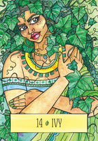 Illustration of a person surrounded by ivy with the number 14 and the word 'Ivy' at the bottom.