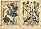 Two illustrations of herbs and symbols on a textured background
