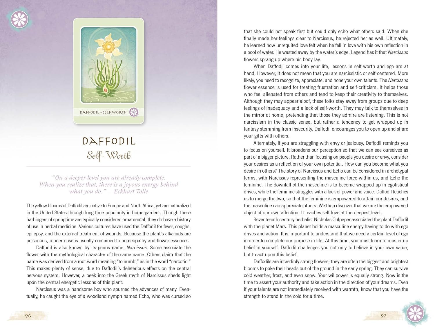 Card featuring a daffodil with descriptive text on a purple background