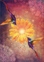 Colorful hummingbirds and a yellow flower on a decorative background