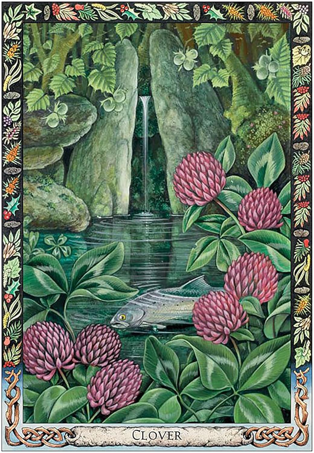 Illustration of a garden scene with clover, fish, and rocks, framed by decorative elements.