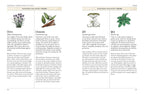 Page from a book on common culinary herbs with illustrations and text.