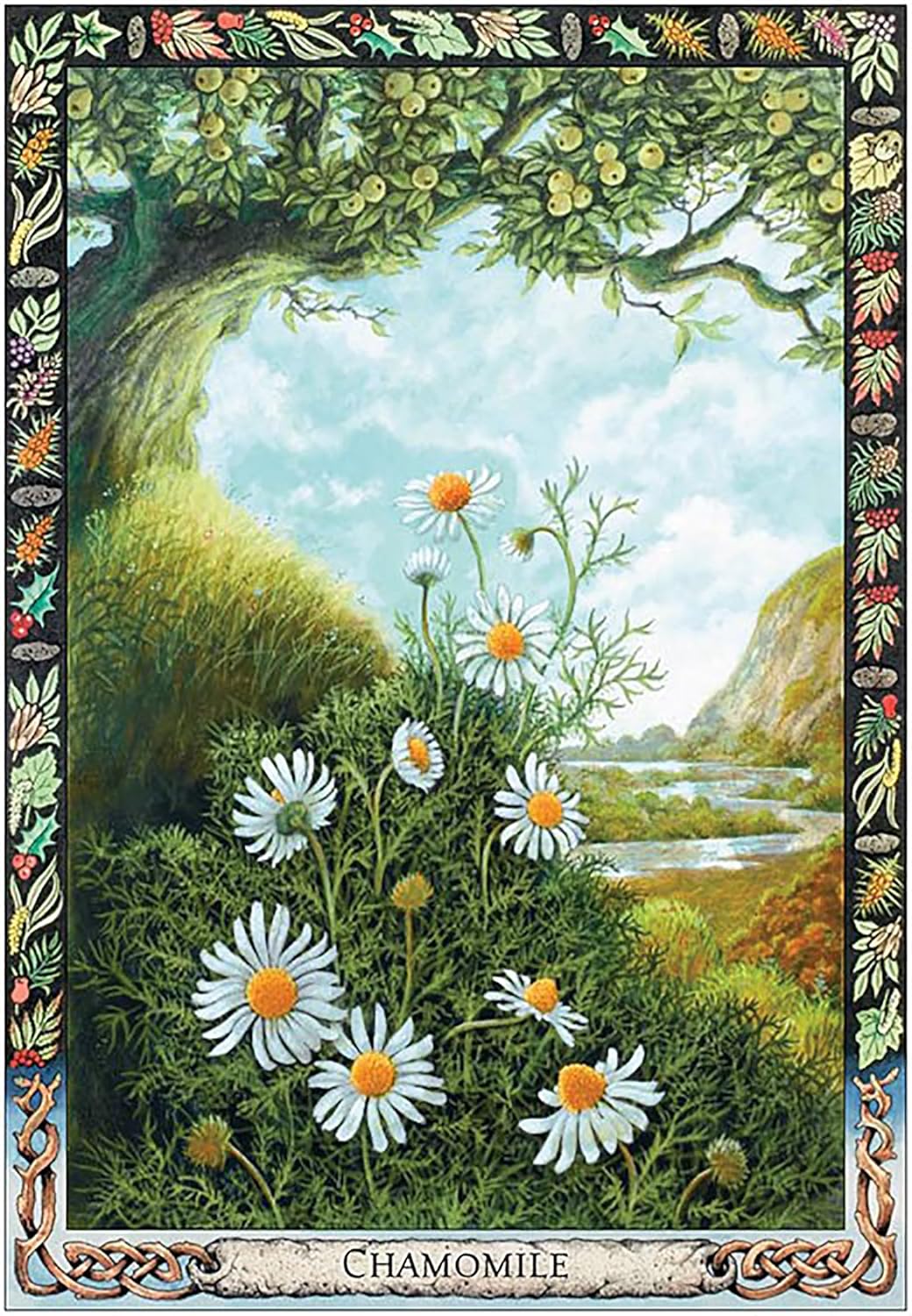 Illustration of chamomile flowers with a decorative border and landscape background.
