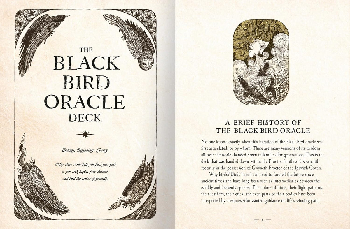 An open book or oracle card spread showing the front cover and interior text page for 'The Black Bird Oracle Deck.' The left page has ornate black bird illustrations and the title in large serif text, while the right page contains a short article titled 'A Brief History of the Black Bird Oracle.
