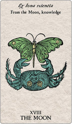 Tarot card featuring a green butterfly and blue crab with text 'Ex luna scientia From the Moon, knowledge' and 'XVIII THE MOON'.