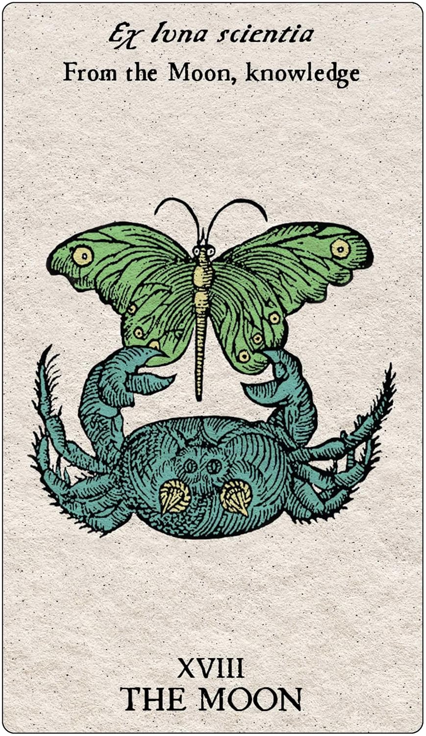 Tarot card featuring a green butterfly and blue crab with text 'Ex luna scientia From the Moon, knowledge' and 'XVIII THE MOON'.