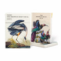 Two editions of 'The Birdwatcher's Deck' with bird illustrations on a white background