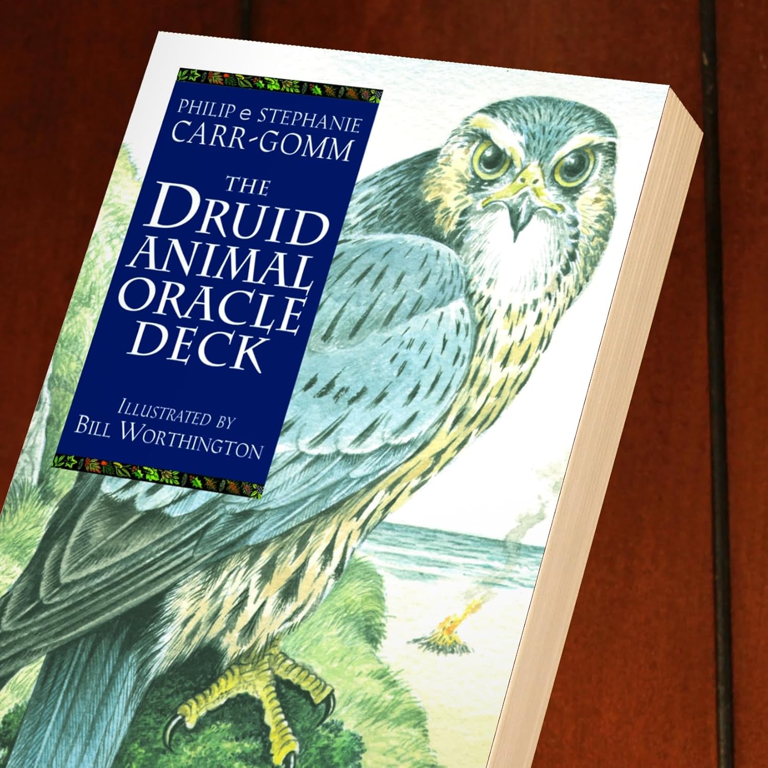 The Druid Animal Oracle Deck