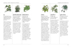 Page from a book on indoor and houseplants with illustrations and text.