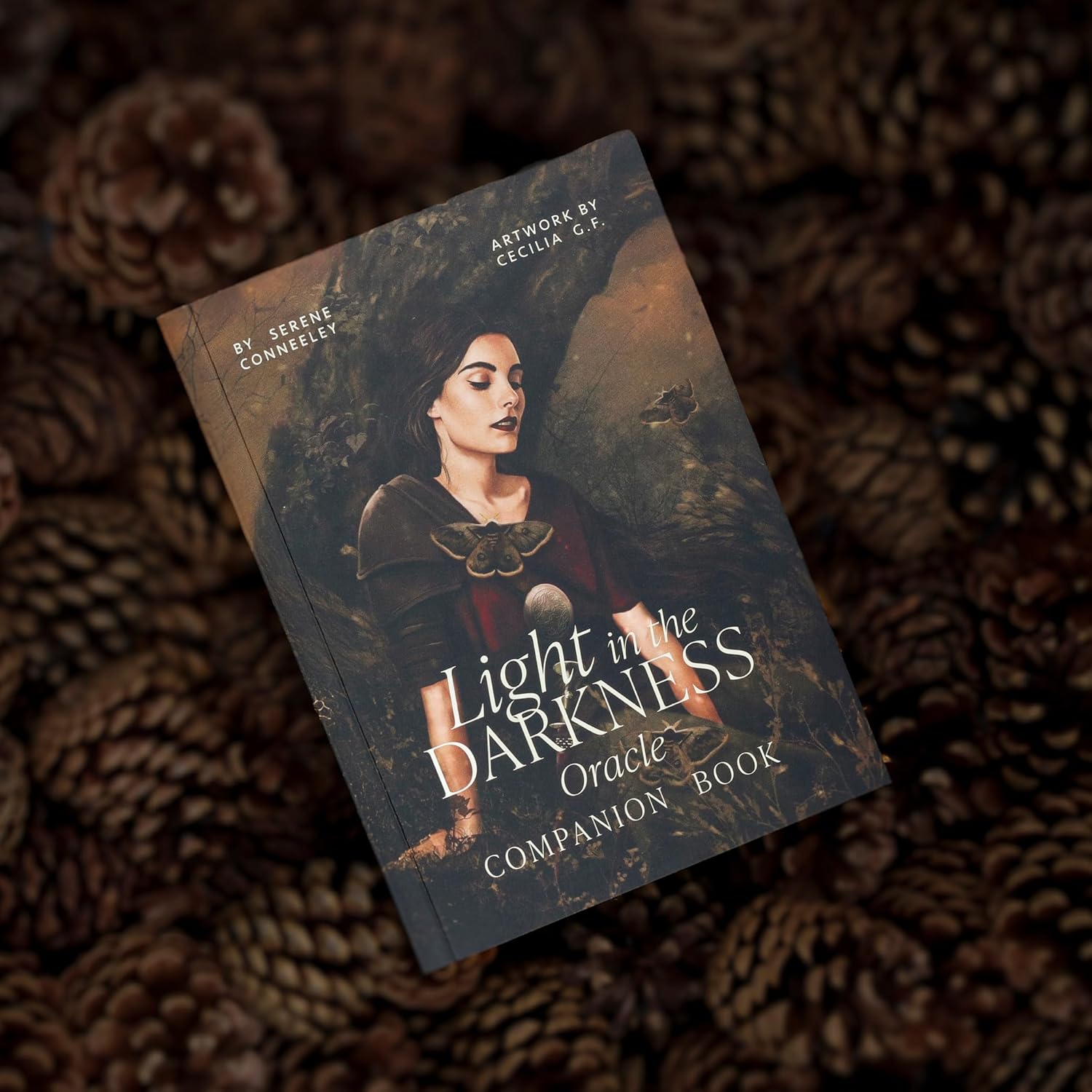 Light In the Darkness Oracle Companion Book on a bed of pine cones