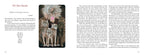 Magical book illustration of a character in a fantasy setting with text on a white background
