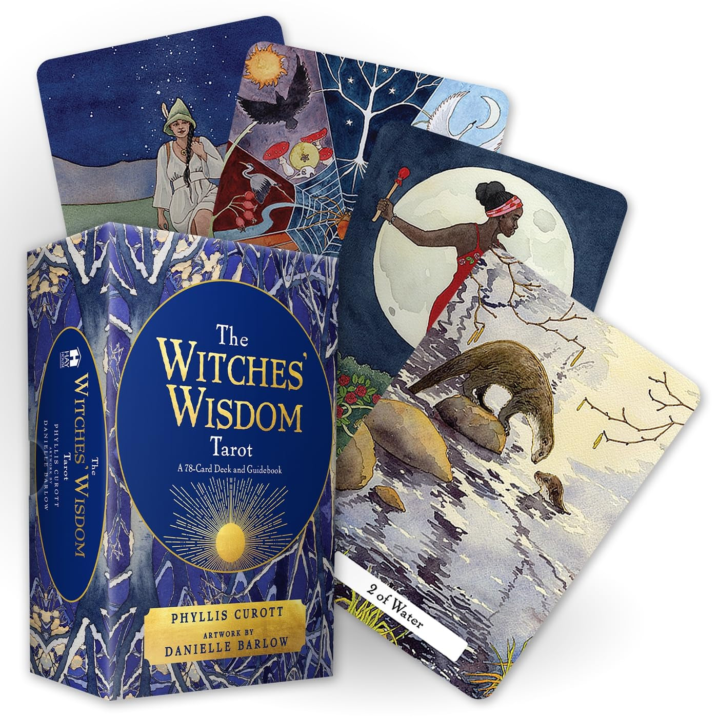 Witches' Wisdom Tarot cards with colorful illustrations and packaging on a white background