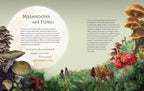 Illustrated book page about mushrooms and fungi with text and various mushroom illustrations.
