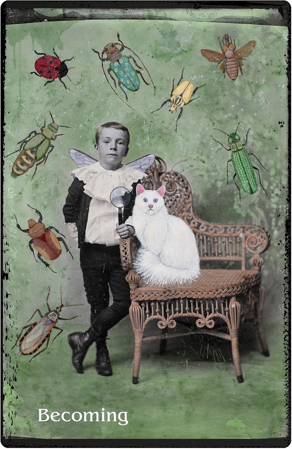 Vintage-style image of a boy with a white cat surrounded by illustrated insects on a textured green background.