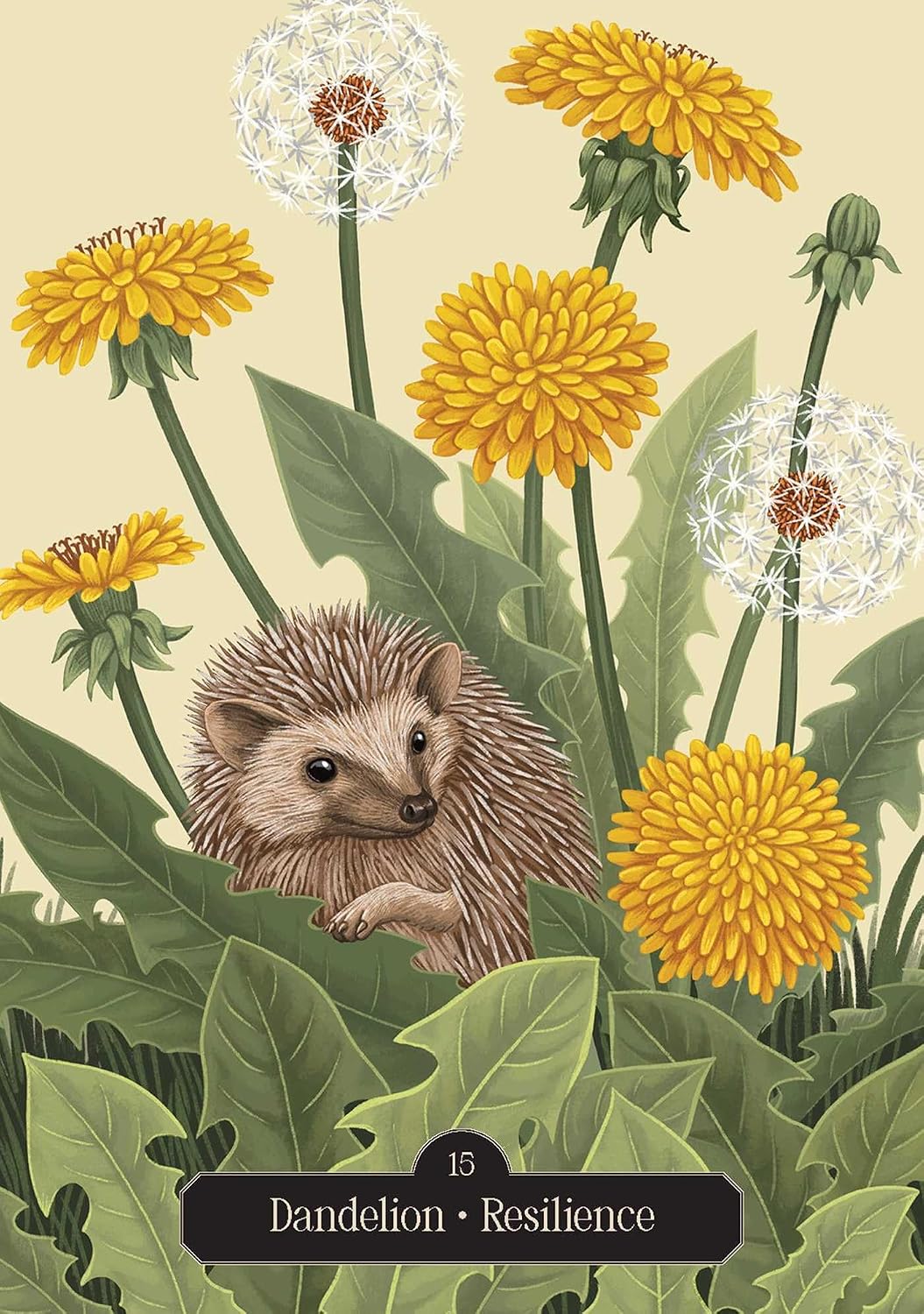 Illustration of a hedgehog among dandelions and daisies on a beige background