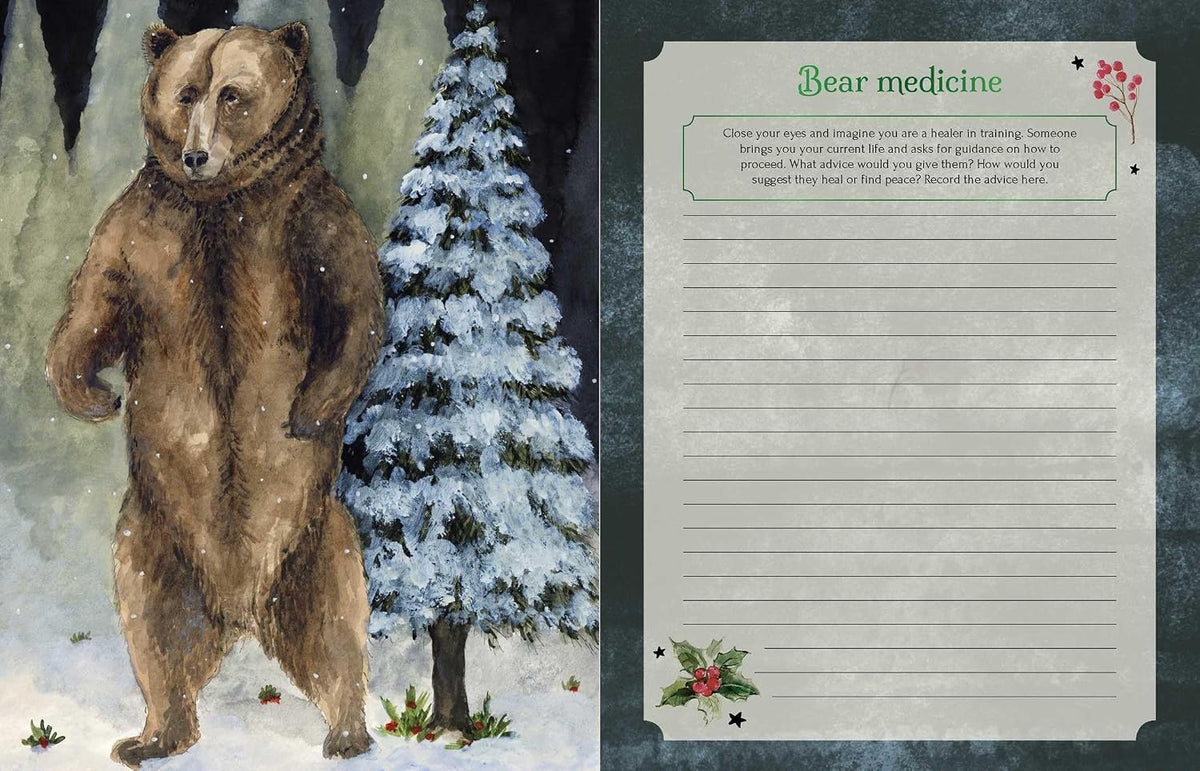 Seasons of the Witch: Yule Journal