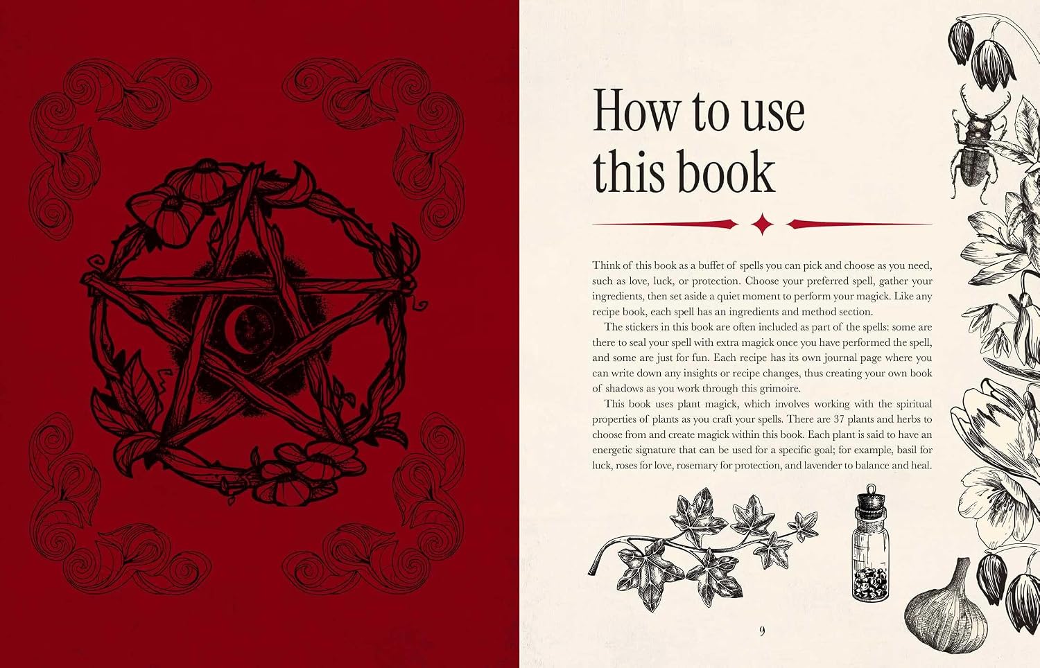 An open book spread with a deep red left page featuring a black line-art illustration of a potion bottle, and a cream right page titled 'How to use this book' with small text and black botanical illustrations along the margin.