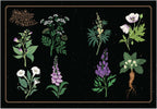 Illustration of various poisonous plants on a black background with 'Poisonous Plants' text.