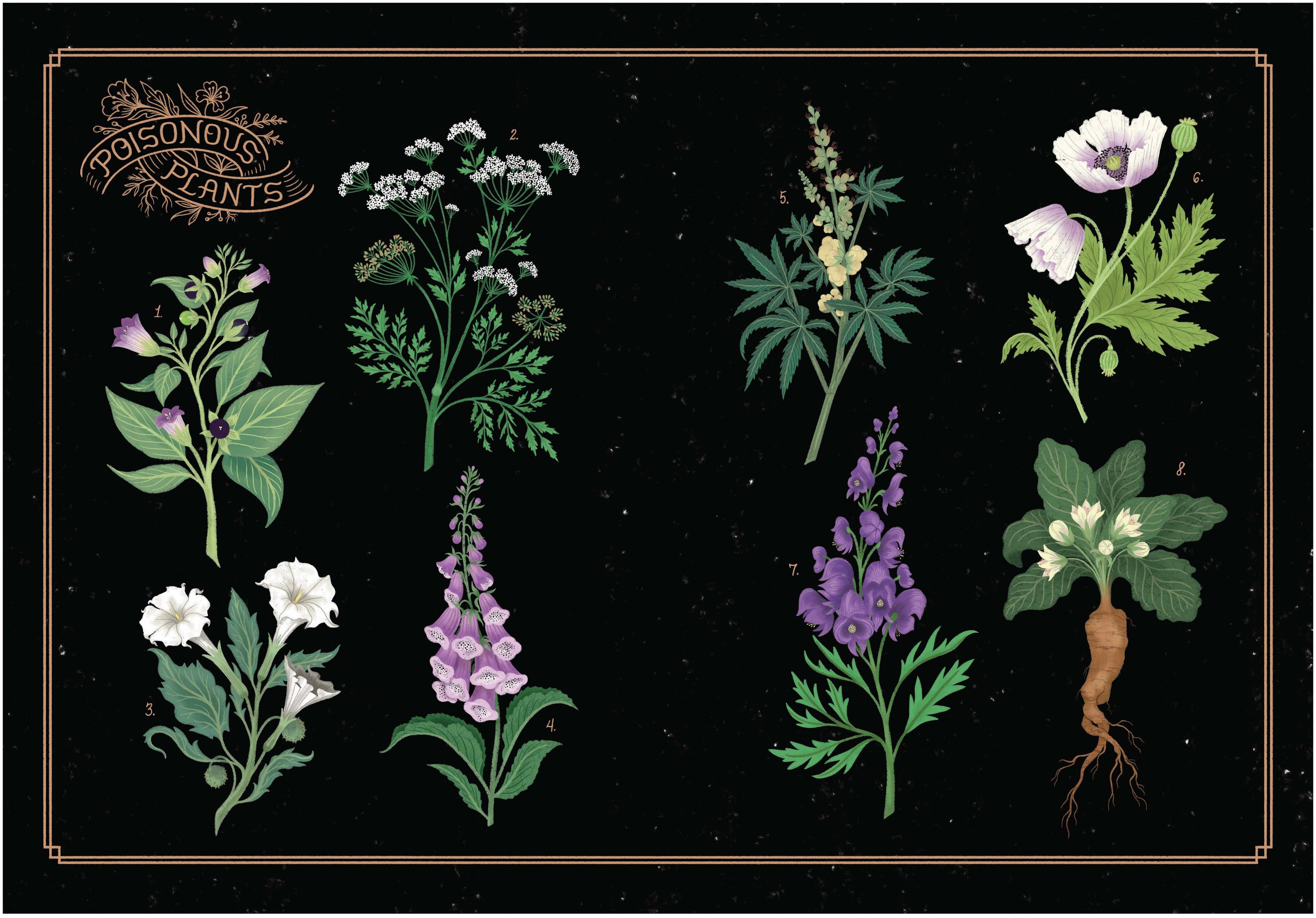 Illustration of various poisonous plants on a black background with 'Poisonous Plants' text.