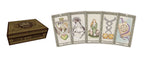 Set of tarot cards with a wooden box labeled 'Celtic Spirit Tarot' on a white background.