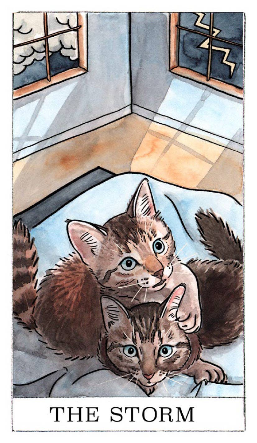 Illustration of two cats on a bed with 'The Storm' text at the bottom.